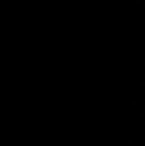 Meet your Posher, Gene